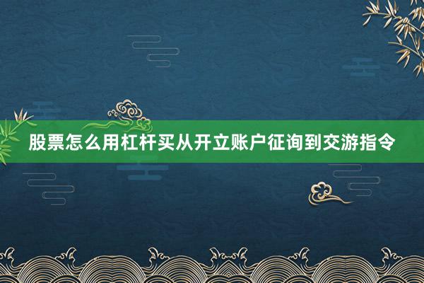 股票怎么用杠杆买从开立账户征询到交游指令