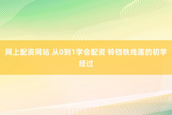 网上配资网站 从0到1学会配资 铃铛铁线莲的初学经过