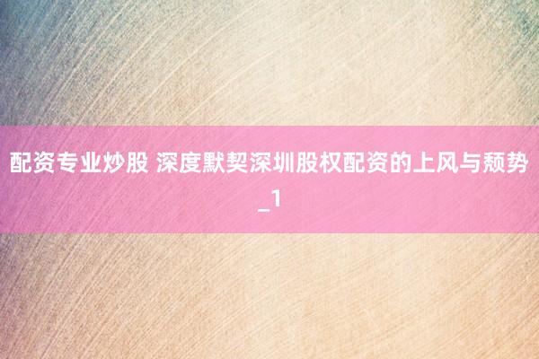 配资专业炒股 深度默契深圳股权配资的上风与颓势_1